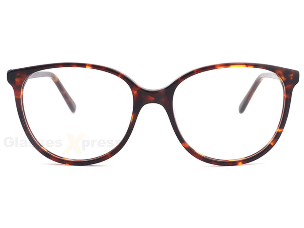 Tortoise Brown