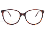 Tortoise Brown