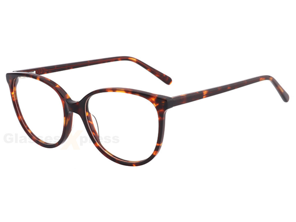 Tortoise Brown