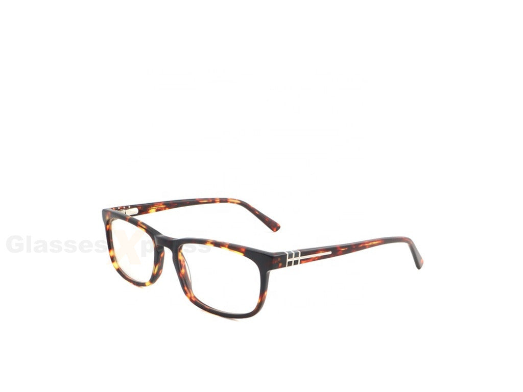Tortoise Gold