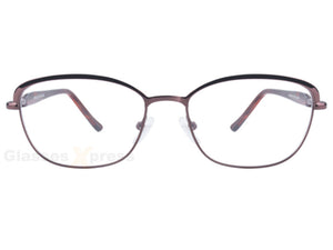 Tortoise Brown