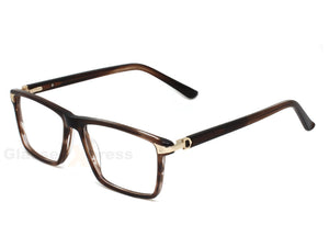 Tortoise Brown